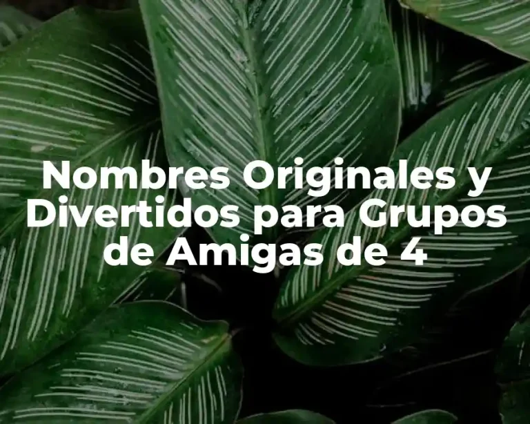 Nombres Originales y Divertidos para Grupos de Amigas de 4