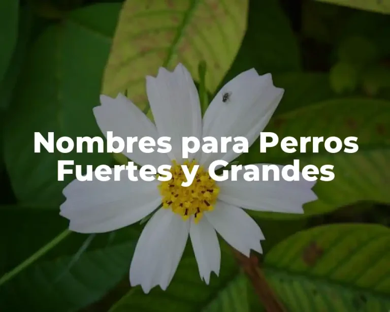 Nombres para Perros Fuertes y Grandes