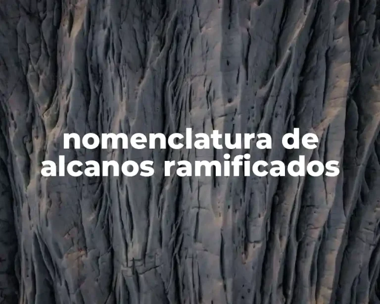 nomenclatura de alcanos ramificados
