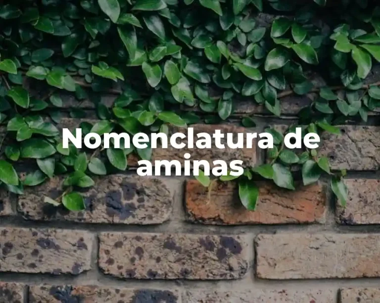 Nomenclatura de aminas