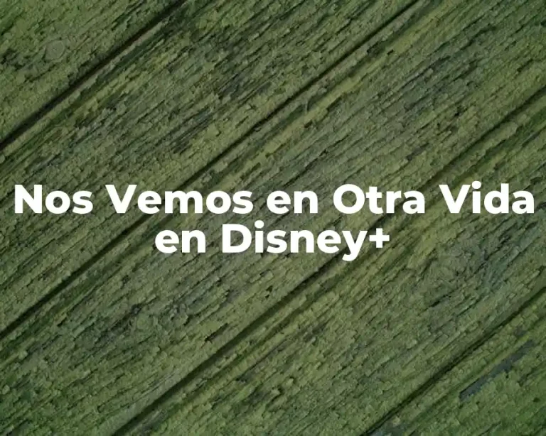 Nos Vemos en Otra Vida en Disney+