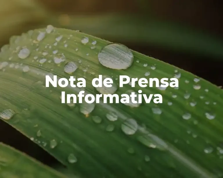 Nota de Prensa Informativa