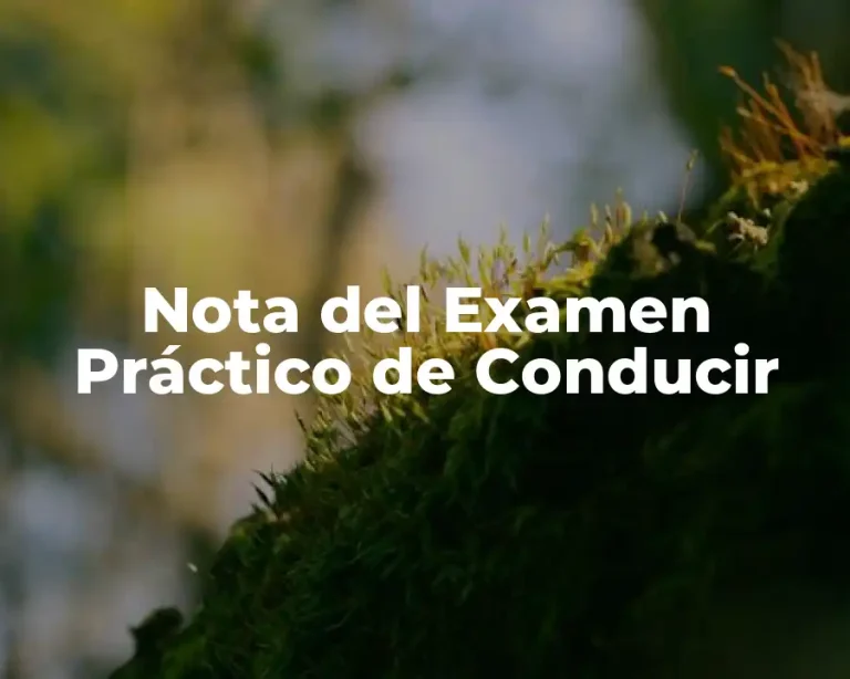 Nota del Examen Práctico de Conducir