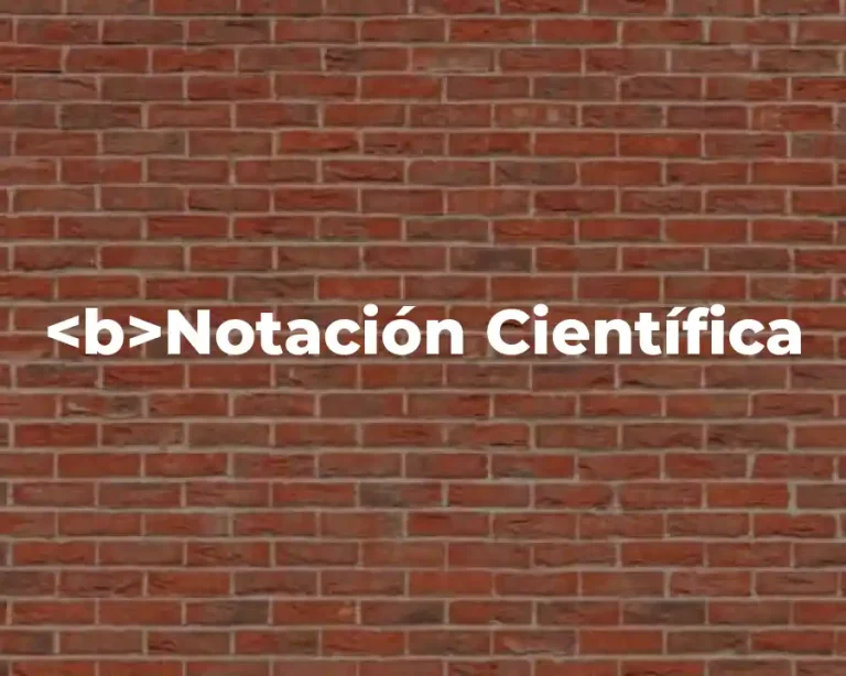 <b>Notación Científica