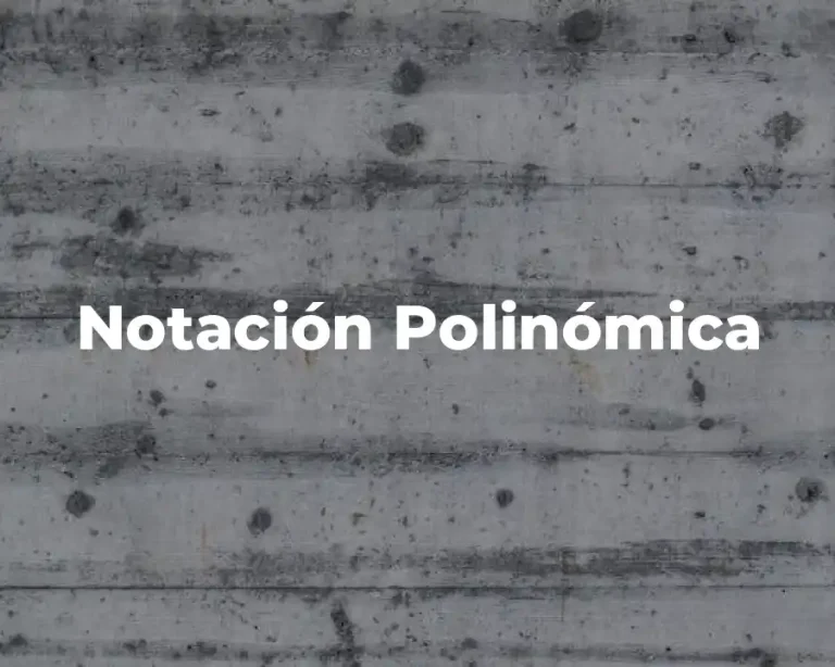 Notación Polinómica