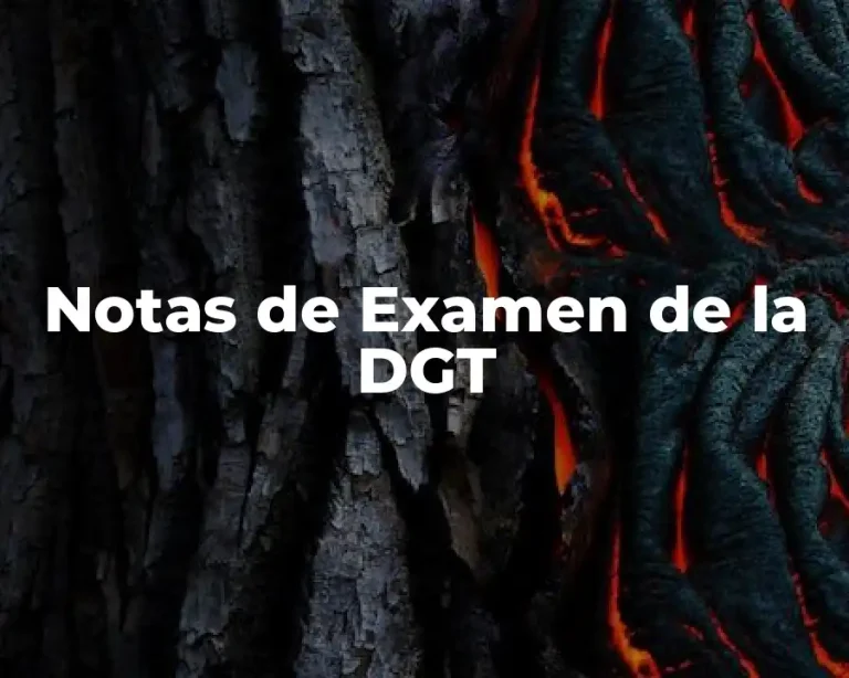 Notas de Examen de la DGT