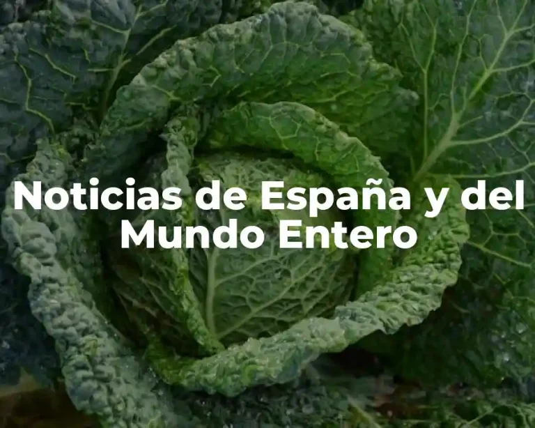 Noticias de España y del Mundo Entero