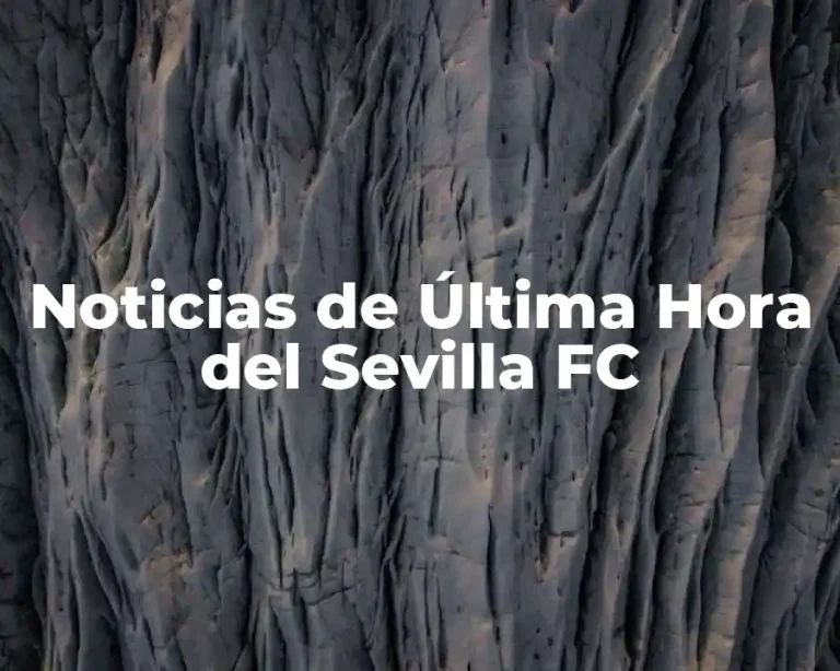 Noticias de Última Hora del Sevilla FC