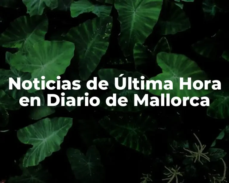 Noticias de Última Hora en Diario de Mallorca