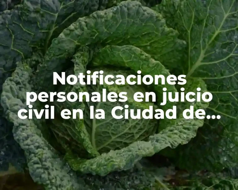 Notificaciones personales en juicio civil en la Ciudad de México