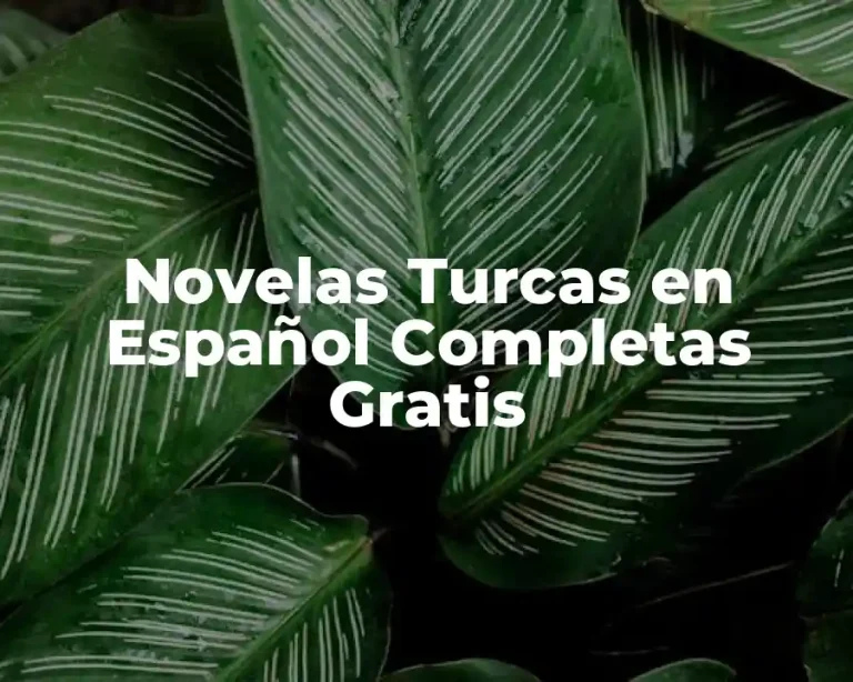 Novelas Turcas en Español Completas Gratis