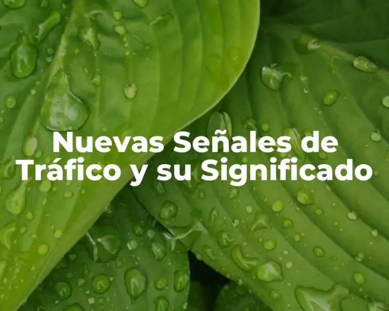 Nuevas Señales de Tráfico y su Significado
