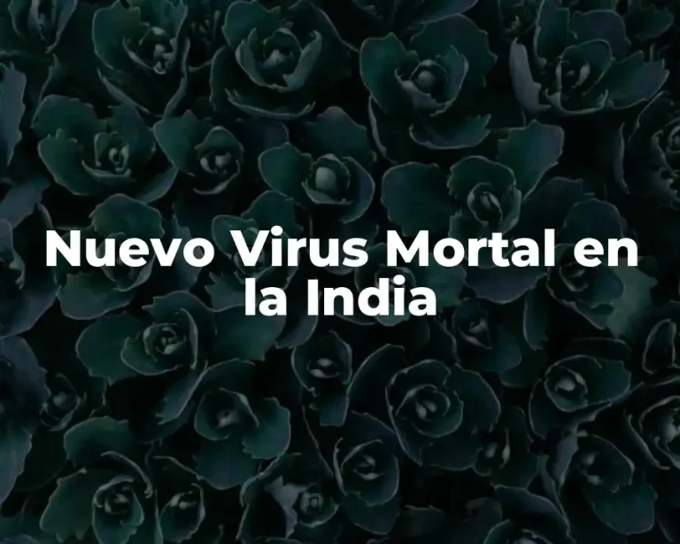 Nuevo Virus Mortal en la India