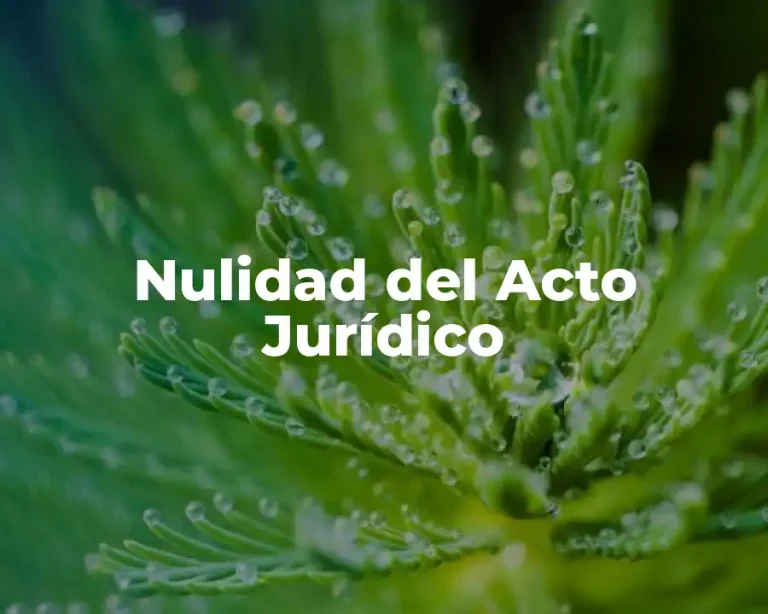 Nulidad del Acto Jurídico