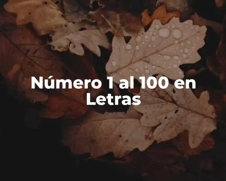 Número 1 al 100 en Letras