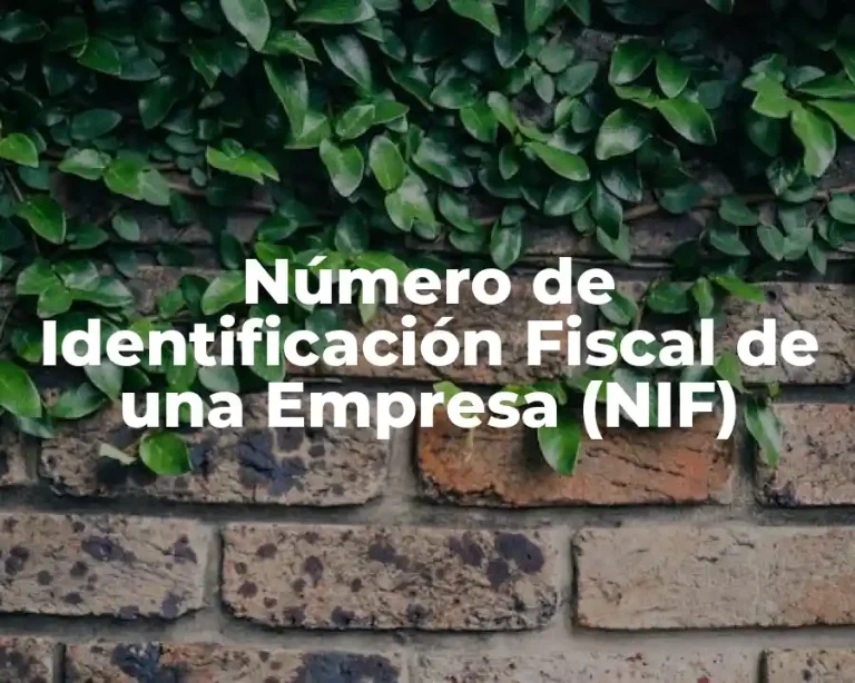 Número de Identificación Fiscal de una Empresa (NIF)