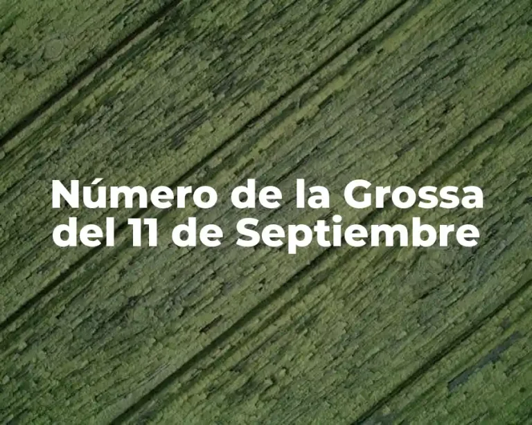 Número de la Grossa del 11 de Septiembre