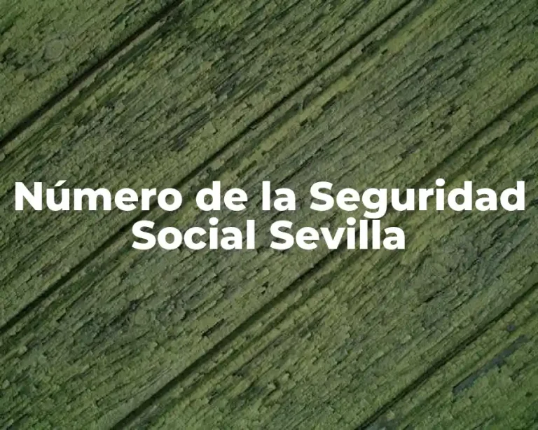 Número de la Seguridad Social Sevilla