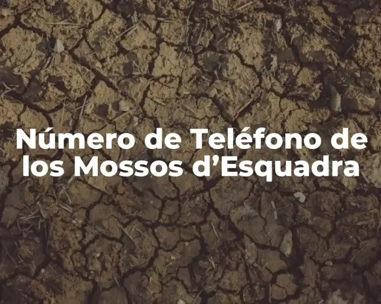 Número de Teléfono de los Mossos d’Esquadra