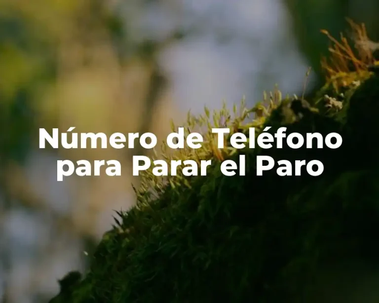 Número de Teléfono para Parar el Paro