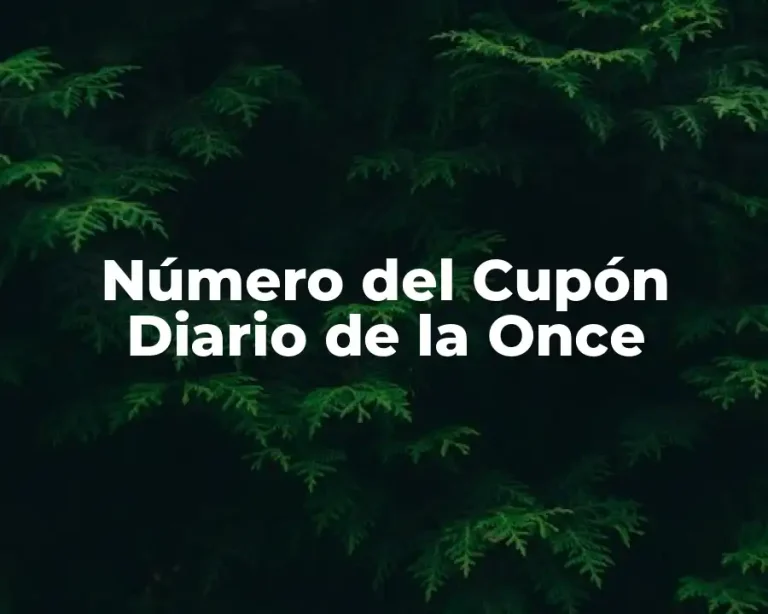 Número del Cupón Diario de la Once