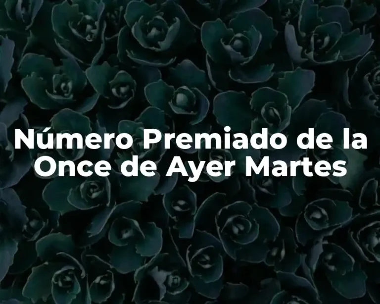 Número Premiado de la Once de Ayer Martes