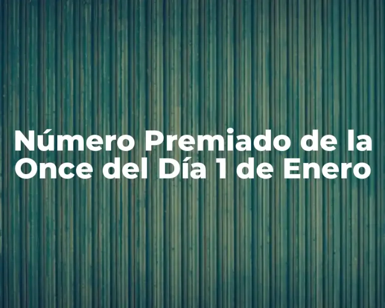Número Premiado de la Once del Día 1 de Enero