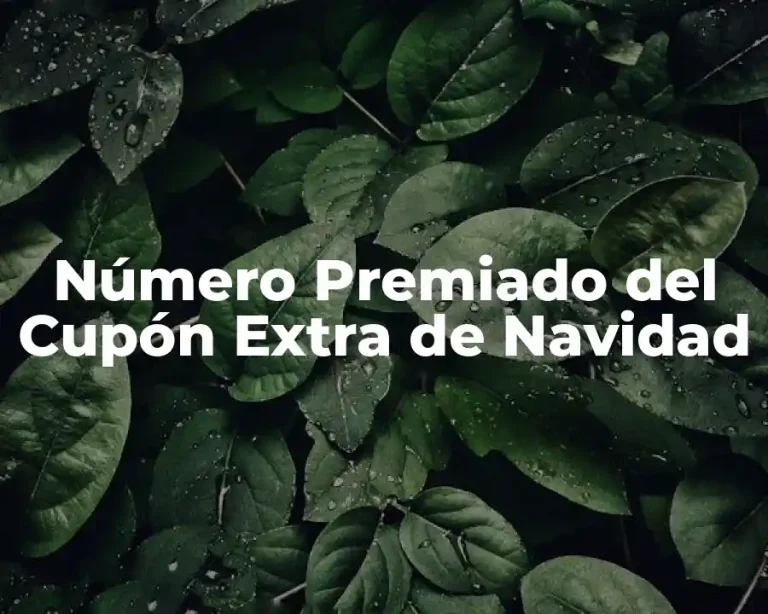 Número Premiado del Cupón Extra de Navidad