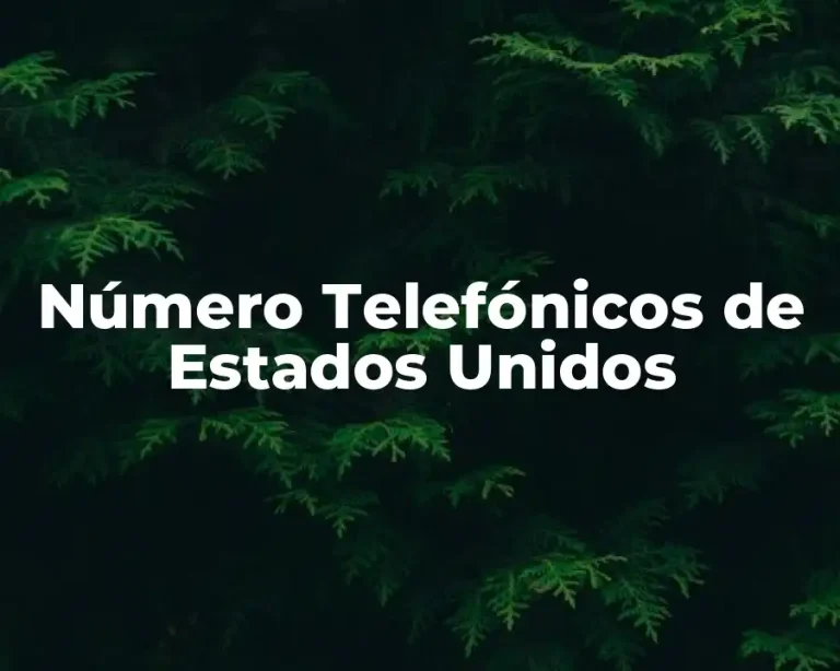 Número Telefónicos de Estados Unidos