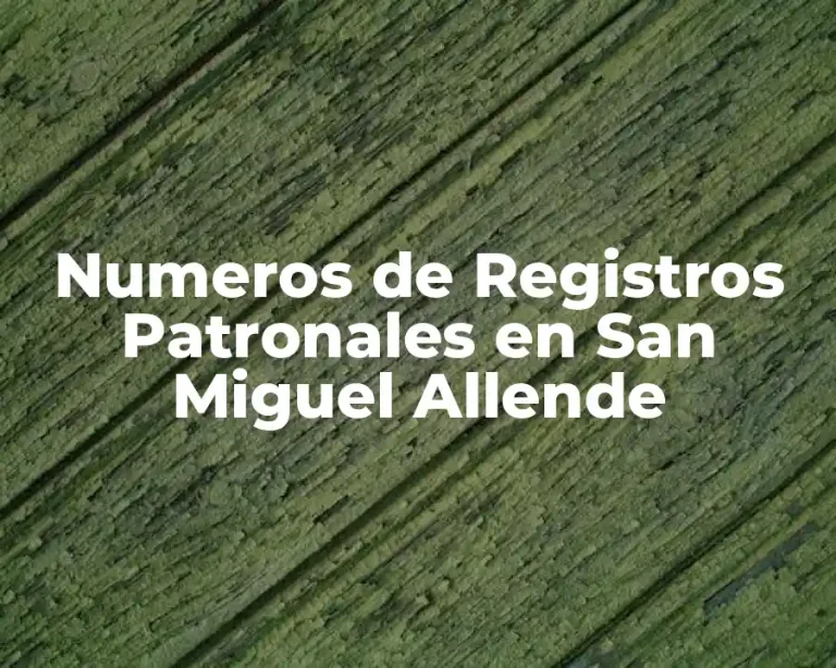 Numeros de Registros Patronales en San Miguel Allende