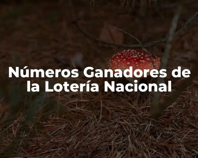 Números Ganadores de la Lotería Nacional