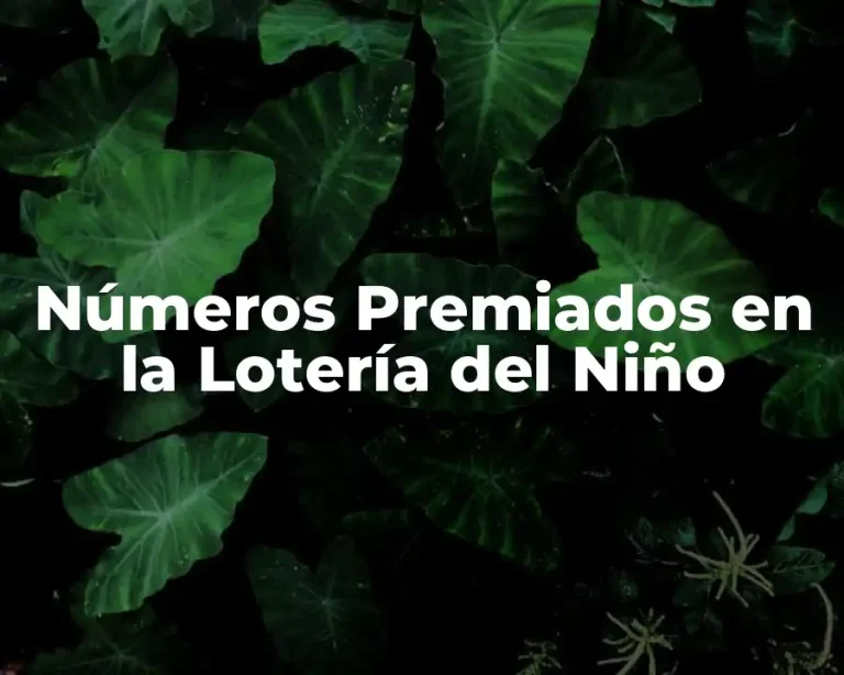 Números Premiados en la Lotería del Niño