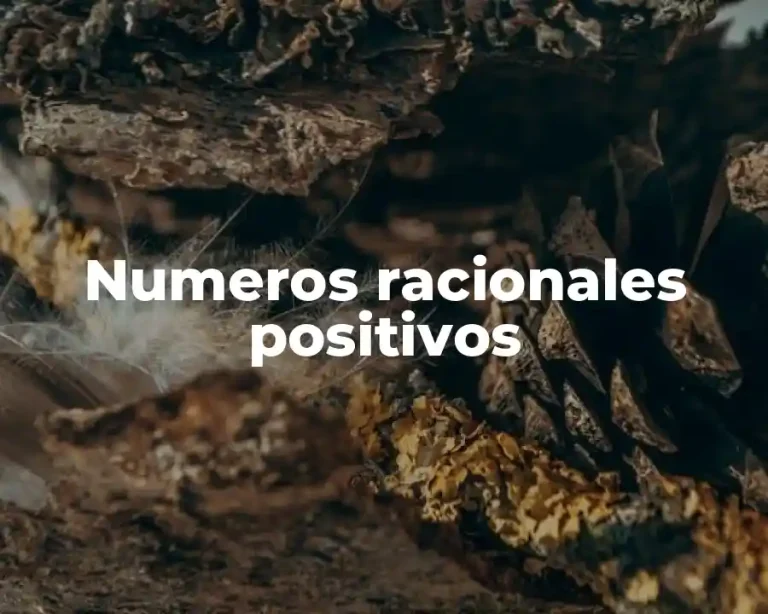 Numeros racionales positivos