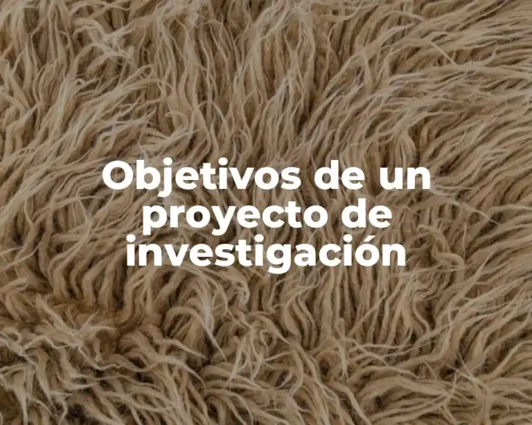 Objetivos de un proyecto de investigación