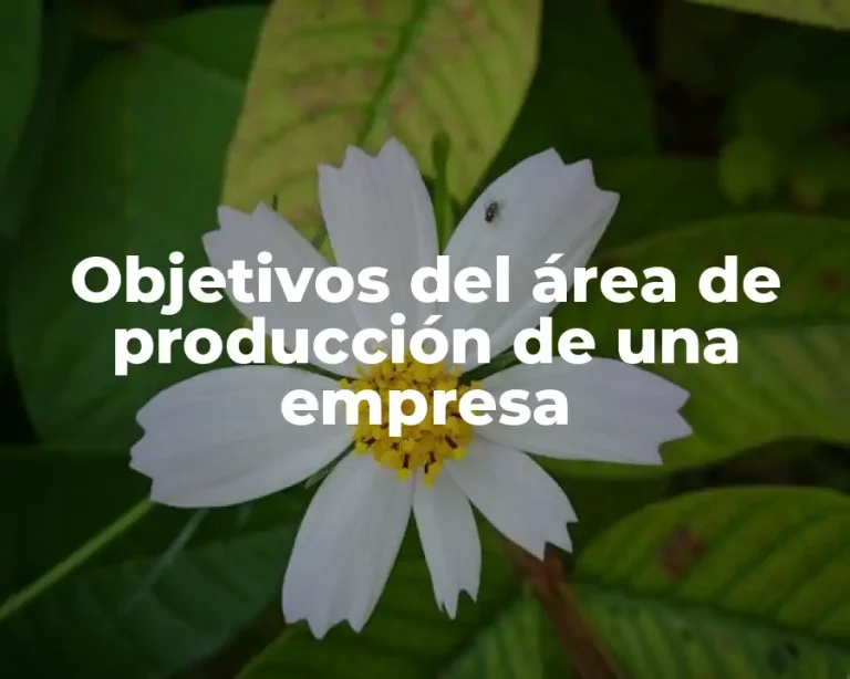 Objetivos del área de producción de una empresa