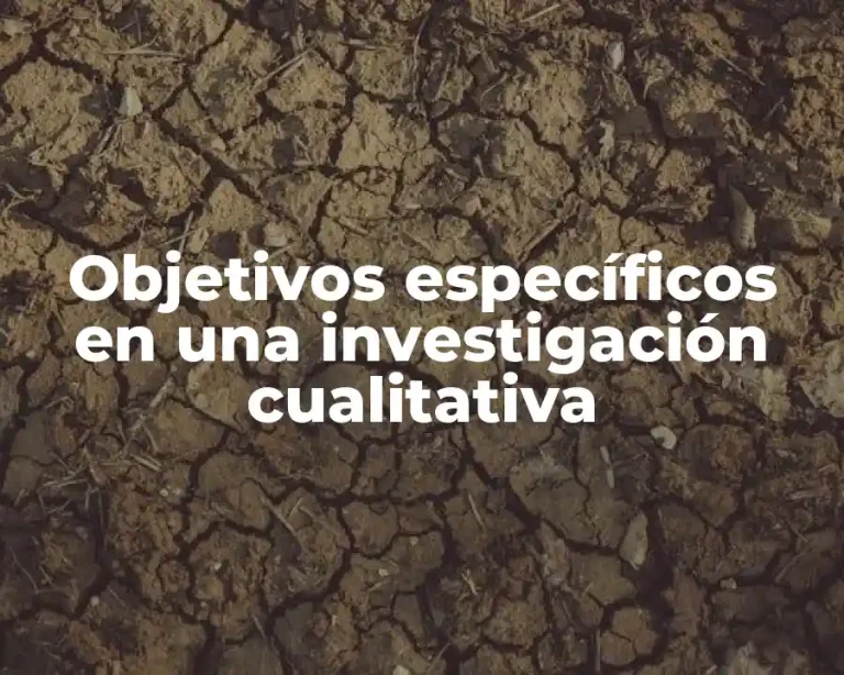 Objetivos específicos en una investigación cualitativa