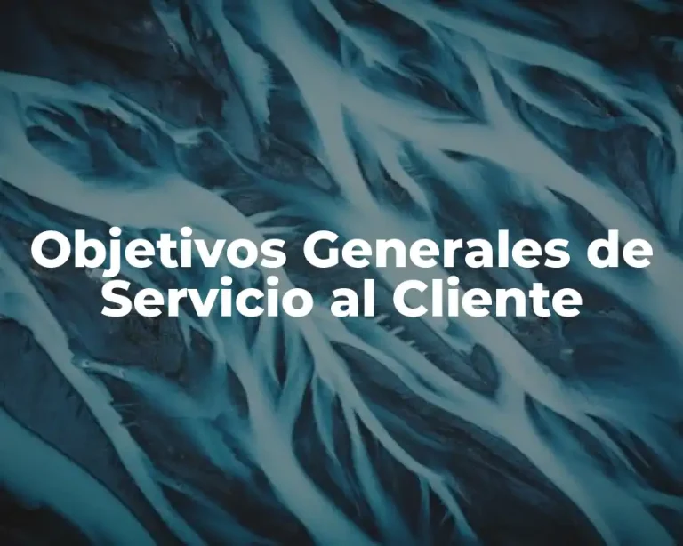 Objetivos Generales de Servicio al Cliente