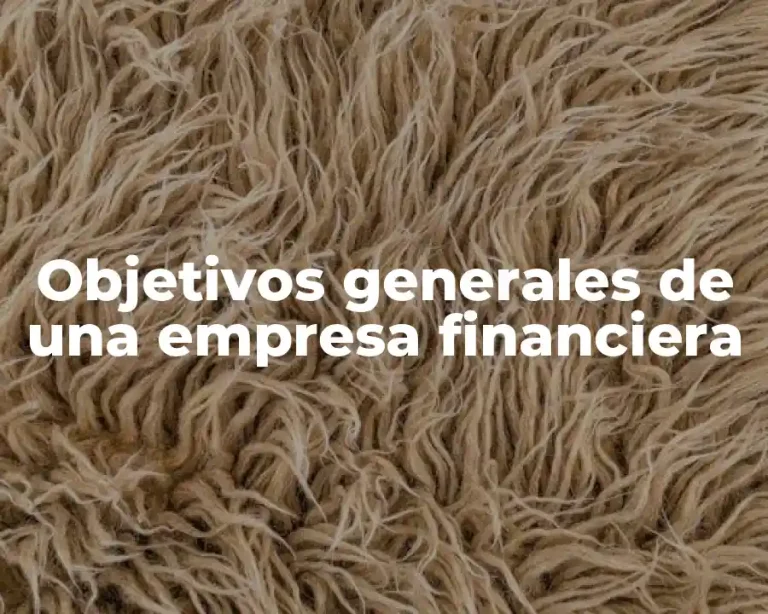 Objetivos generales de una empresa financiera