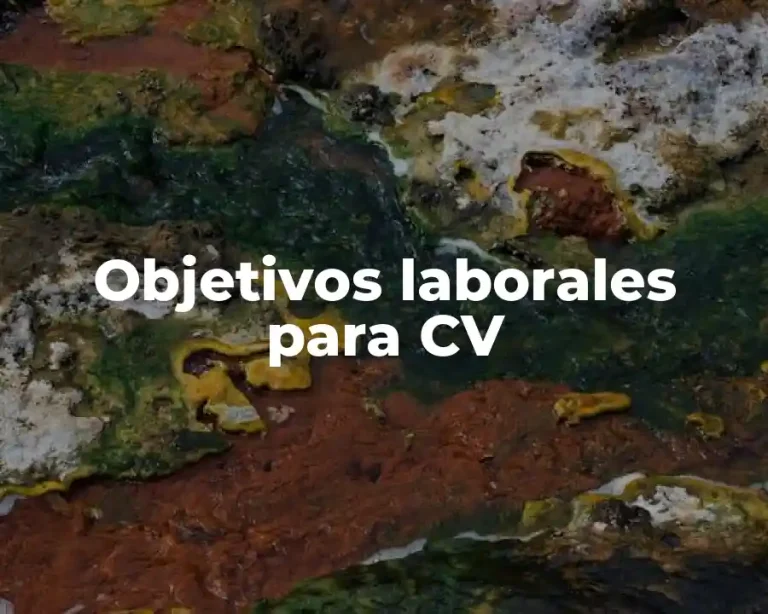Objetivos laborales para CV