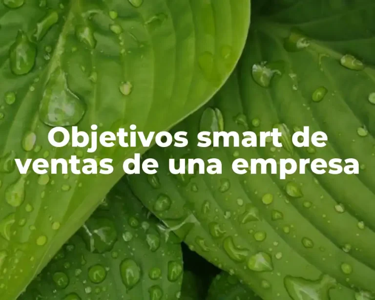 Objetivos smart de ventas de una empresa