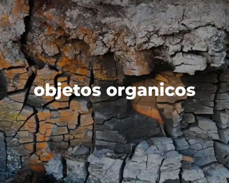 objetos organicos