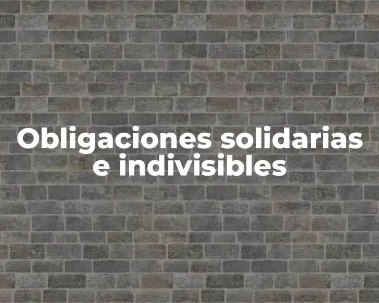Obligaciones solidarias e indivisibles