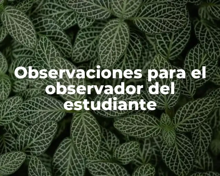 Observaciones para el observador del estudiante