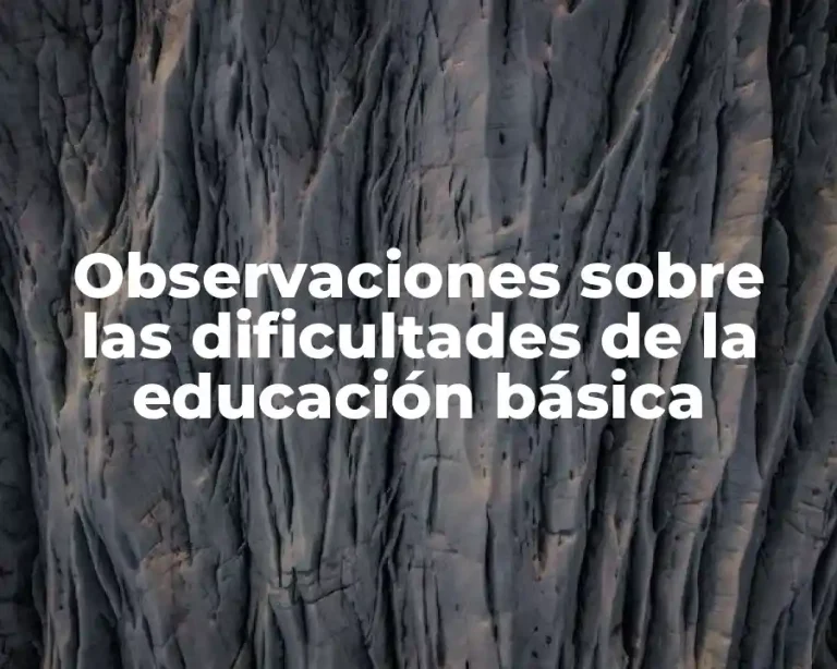 Observaciones sobre las dificultades de la educación básica