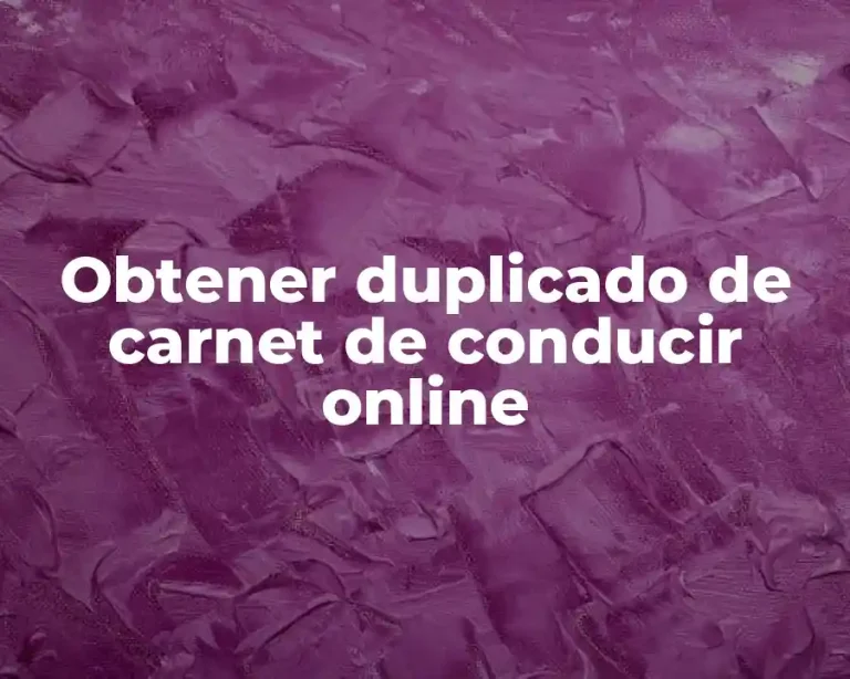 Obtener duplicado de carnet de conducir online