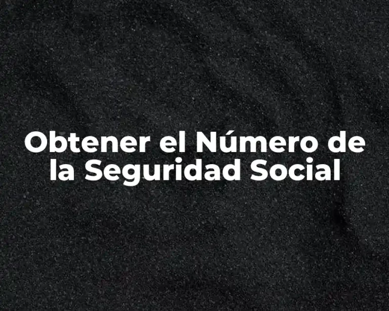 Obtener el Número de la Seguridad Social