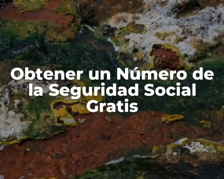 Obtener un Número de la Seguridad Social Gratis