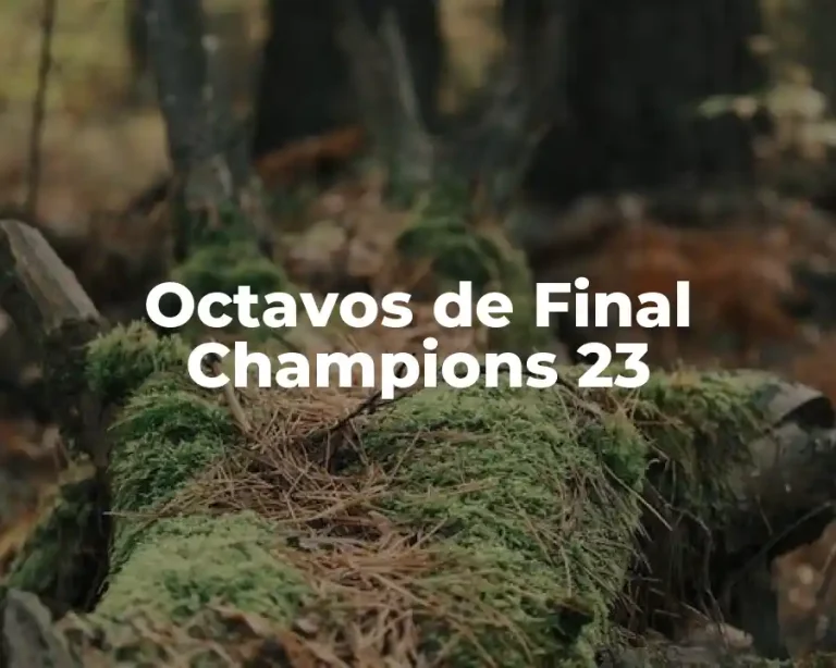 Octavos de Final Champions 23