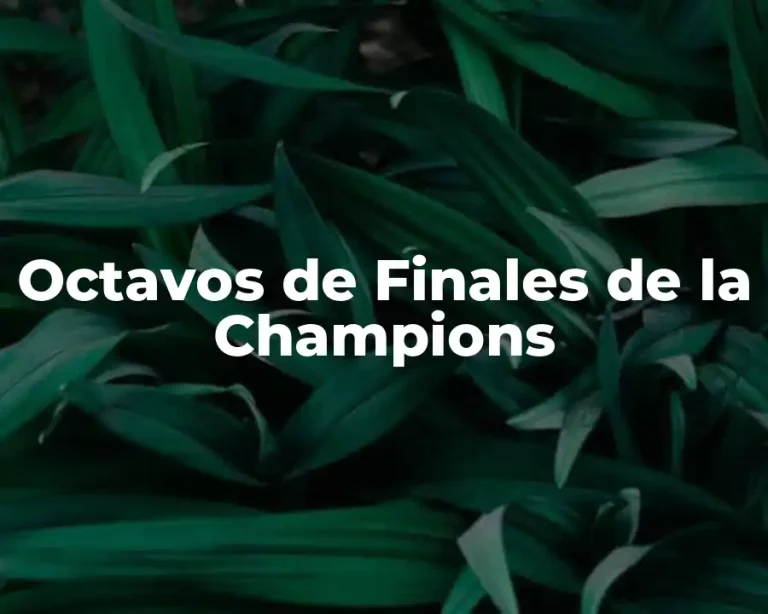 Octavos de Finales de la Champions