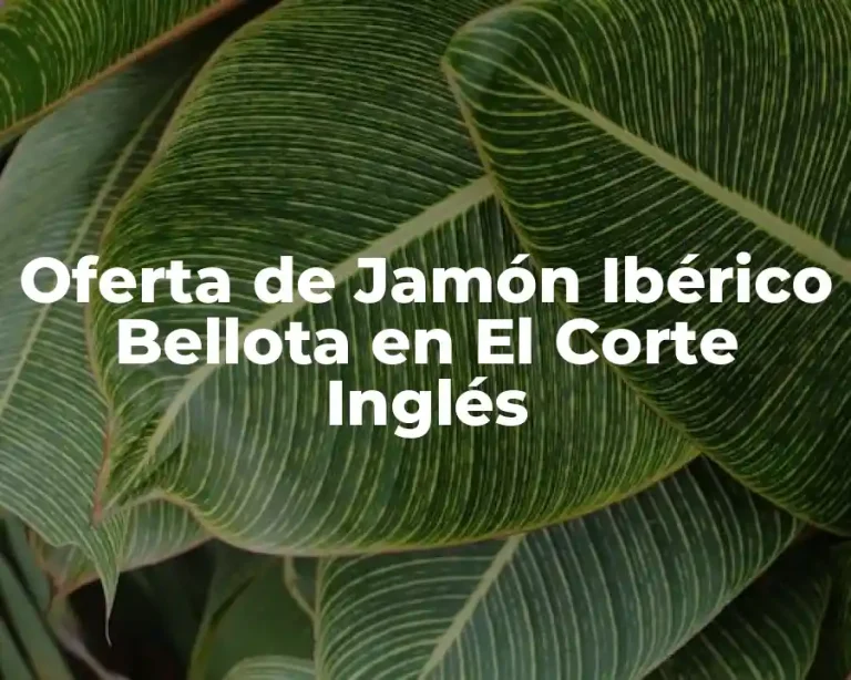 Oferta de Jamón Ibérico Bellota en El Corte Inglés